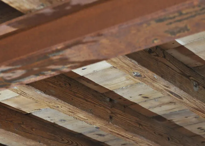 Casa Lumaca فندق مبيت وإفطار تريميتْسّو