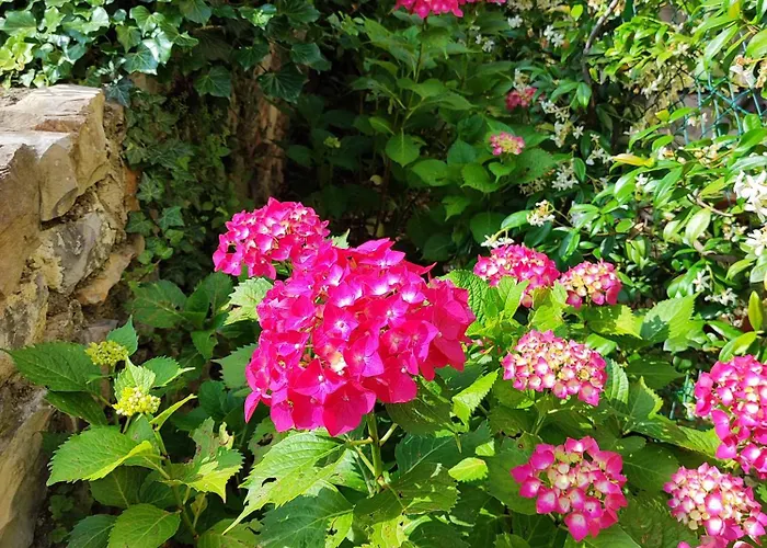 Casa Lumaca 4* تريميتْسّو