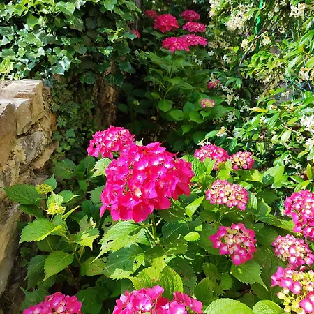 Casa Lumaca 4* Tremezzo