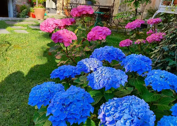 Casa Lumaca Bed & Breakfast 4*