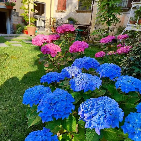 Casa Lumaca Oda ve Kahvaltı *